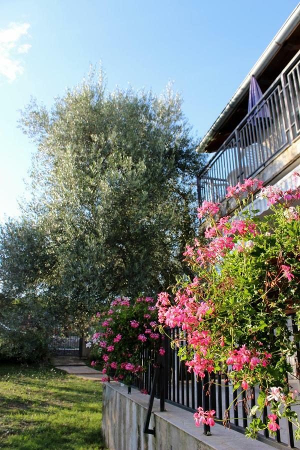 Turkovic Apartments Zgaljic ภายนอก รูปภาพ