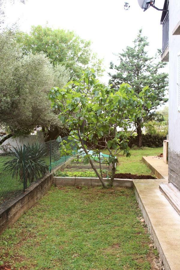 Turkovic Apartments Zgaljic ภายนอก รูปภาพ